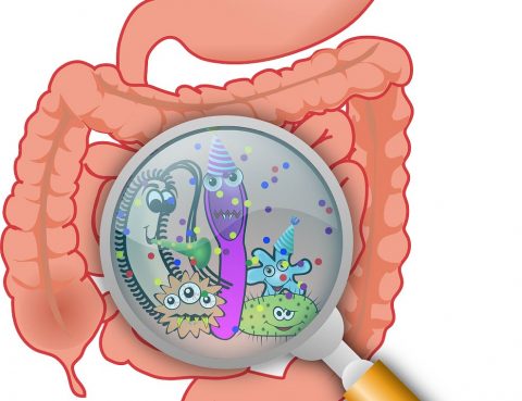 NON-SIAMO-SOLI!-L'importanza-di-coltivare-la-flora-batterica-intestinale