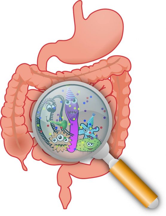 NON-SIAMO-SOLI!-L'importanza-di-coltivare-la-flora-batterica-intestinale